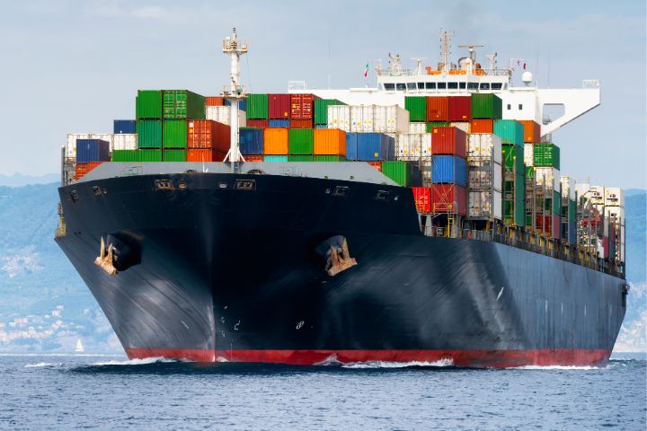 Dịch Vụ Gửi Thú Cưng ĐI Nước Ngoài Siêu Tốc, Giá Rẻ Tại Tiến Việt Express