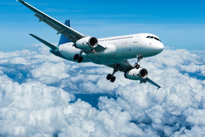 Gửi Cá Cảnh Đi Nước Ngoài - Đảm Bảo An Toàn Với Tiến Việt Express
