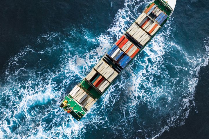 Gửi Cá Cảnh Đi Nước Ngoài - Đảm Bảo An Toàn Với Tiến Việt Express