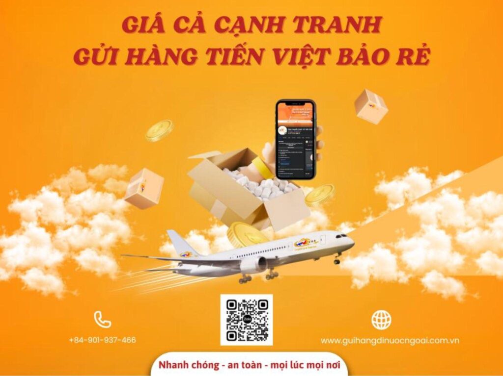 TOP 05 Đơn Vị Gửi Hàng Đi Mỹ Tại Bến Tre Nhanh Chóng, Giá Rẻ