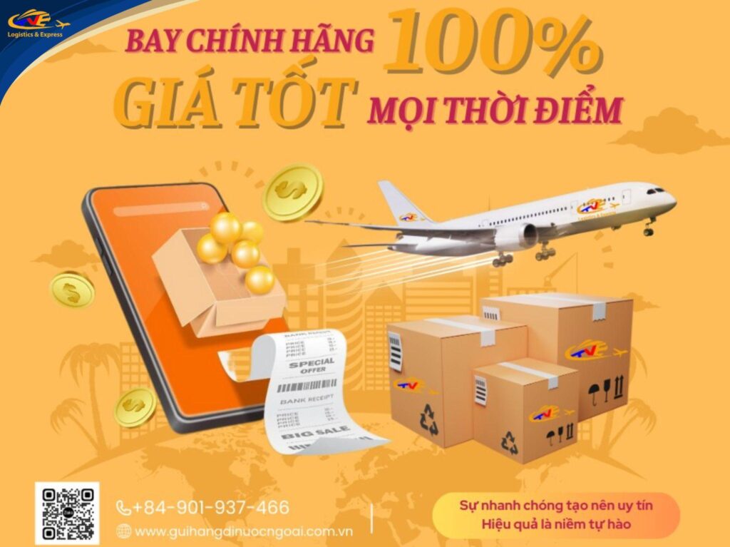 Điểm danh Top 7 nơi gửi hàng đi Canada tại Quận 3 uy tín