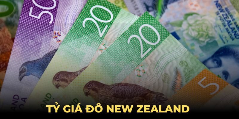 Tỷ Giá Đô New Zealand Chính Xác Hôm Nay - Đổi NZD Sang VND Tỷ Giá Đô New Zealand Chính Xác Hôm Nay - Đổi NZD Sang VND
