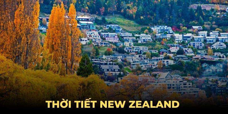 Thời Tiết New Zealand - Đặc Điểm Và Sự Biến Đổi Theo Khu Vực Thời Tiết New Zealand - Đặc Điểm Và Sự Biến Đổi Theo Khu Vực