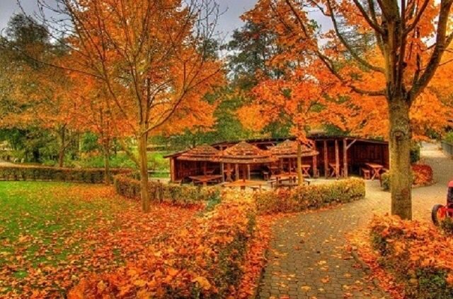 Canada có bao nhiêu tiểu bang? Các tiểu bang của Canada