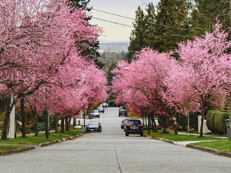 Chi tiết nhiệt độ trung bình ở Canada theo từng mùa Chi tiết nhiệt độ trung bình ở Canada theo từng mùa